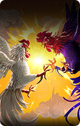 Cockfight